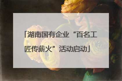 湖南国有企业“百名工匠传薪火”活动启动