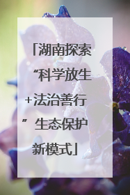 湖南探索“科学放生+法治善行”生态保护新模式