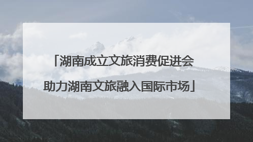 湖南成立文旅消费促进会 助力湖南文旅融入国际市场