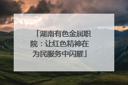 湖南有色金属职院：让红色精神在为民服务中闪耀