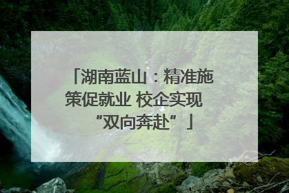 湖南蓝山：精准施策促就业 校企实现“双向奔赴”