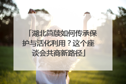 湖北简牍如何传承保护与活化利用？这个座谈会共商新路径