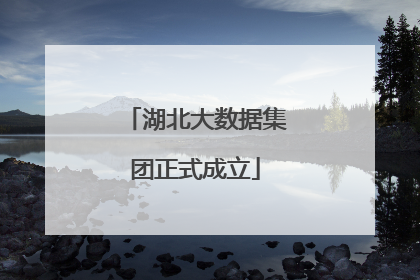 湖北大数据集团正式成立