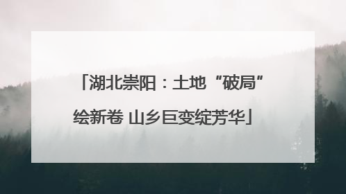 湖北崇阳：土地“破局”绘新卷 山乡巨变绽芳华