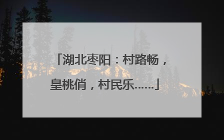 湖北枣阳：村路畅，皇桃俏，村民乐……