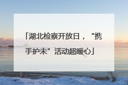 湖北检察开放日，“携手护未”活动超暖心