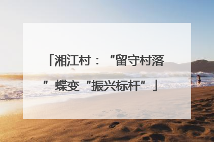 湘江村：“留守村落”蝶变“振兴标杆”