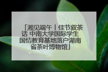 湘见端午丨佳节叙茶话 中南大学国际学生国情教育基地落户湖南省茶叶博物馆