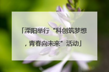 溧阳举行“科创筑梦想，青春向未来”活动