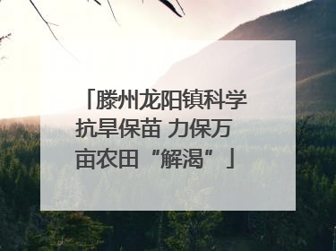 滕州龙阳镇科学抗旱保苗 力保万亩农田“解渴”