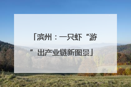 滨州：一只虾“游”出产业链新图景