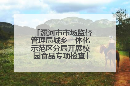 漯河市市场监督管理局城乡一体化示范区分局开展校园食品专项检查