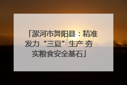 漯河市舞阳县：精准发力“三夏”生产 夯实粮食安全基石