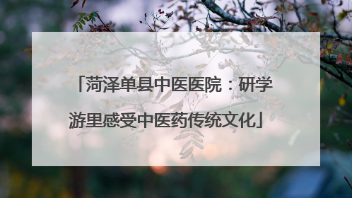 菏泽单县中医医院：研学游里感受中医药传统文化