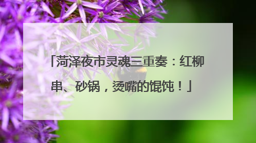 菏泽夜市灵魂三重奏：红柳串、砂锅，烫嘴的馄饨！