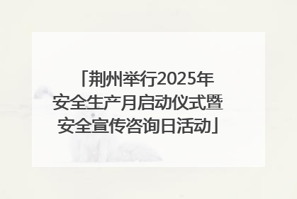 荆州举行2025年安全生产月启动仪式暨安全宣传咨询日活动