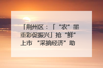 荆州区：「“农”墨重彩促振兴」抢“鲜”上市 “采摘经济”助农“甜蜜增收”