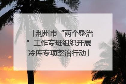 荆州市“两个整治”工作专班组织开展冷库专项整治行动