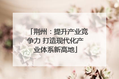 荆州：提升产业竞争力 打造现代化产业体系新高地