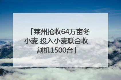 莱州抢收64万亩冬小麦 投入小麦联合收割机1500台
