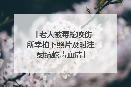 老人被毒蛇咬伤 所幸拍下照片及时注射抗蛇毒血清