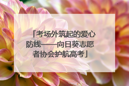 考场外筑起的爱心防线——向日葵志愿者协会护航高考
