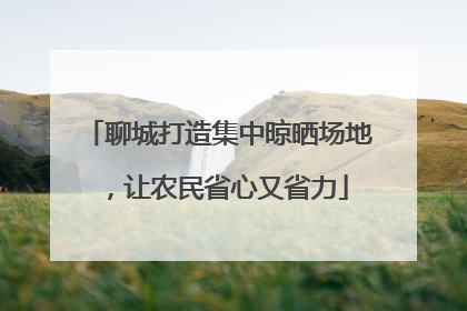 聊城打造集中晾晒场地，让农民省心又省力