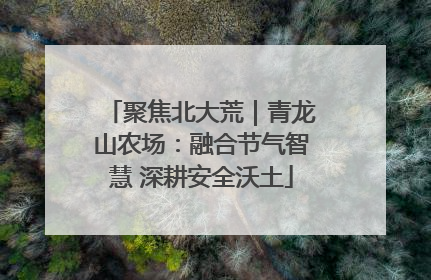 聚焦北大荒｜青龙山农场：融合节气智慧 深耕安全沃土