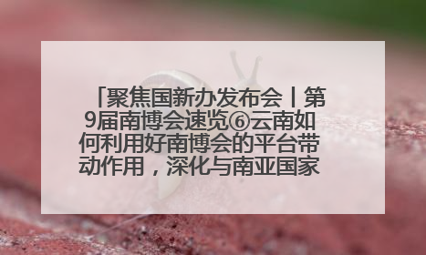 聚焦国新办发布会丨第9届南博会速览⑥云南如何利用好南博会的平台带动作用，深化与南亚国家的交流与合作？