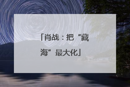 肖战：把“藏海”最大化