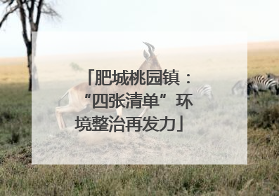 肥城桃园镇：“四张清单”环境整治再发力