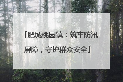 肥城桃园镇：筑牢防汛屏障，守护群众安全