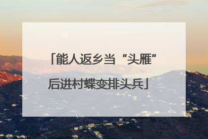 能人返乡当“头雁” 后进村蝶变排头兵