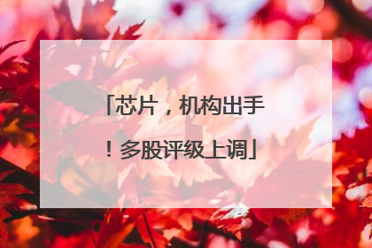 芯片，机构出手！多股评级上调