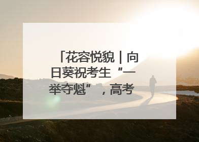 花容悦貌｜向日葵祝考生“一举夺魁”，高考带动鲜花热潮