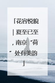 花容悦貌｜夏至已至，南京“荷”处有美韵
