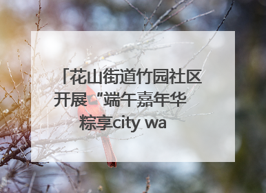 花山街道竹园社区开展“端午嘉年华 粽享city walk”主题活动