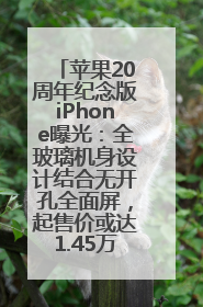 苹果20周年纪念版iPhone曝光：全玻璃机身设计结合无开孔全面屏，起售价或达1.45万人民币