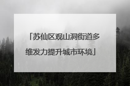 苏仙区观山洞街道多维发力提升城市环境