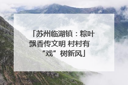 苏州临湖镇：粽叶飘香传文明 村村有“戏”树新风