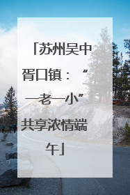苏州吴中胥口镇：“一老一小”共享浓情端午