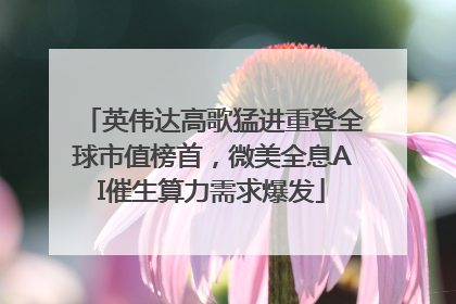 英伟达高歌猛进重登全球市值榜首，微美全息AI催生算力需求爆发