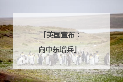 英国宣布：向中东增兵
