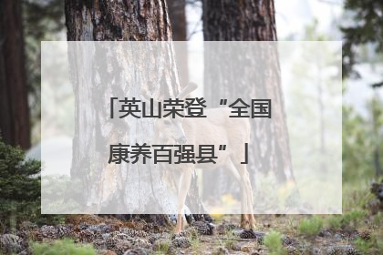英山荣登“全国康养百强县”