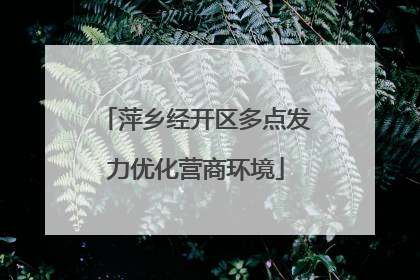 萍乡经开区多点发力优化营商环境