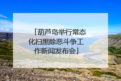 葫芦岛举行常态化扫黑除恶斗争工作新闻发布会