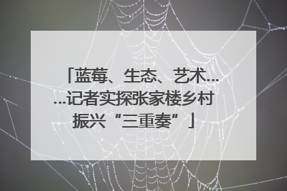蓝莓、生态、艺术……记者实探张家楼乡村振兴“三重奏”