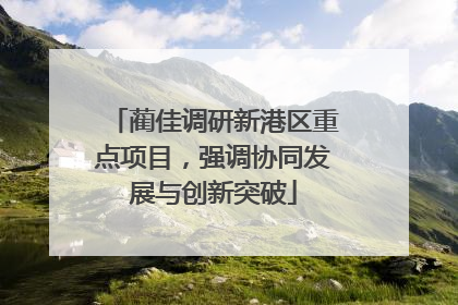 蔺佳调研新港区重点项目，强调协同发展与创新突破