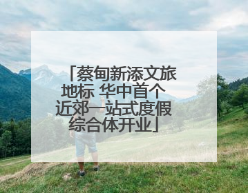 蔡甸新添文旅地标 华中首个近郊一站式度假综合体开业