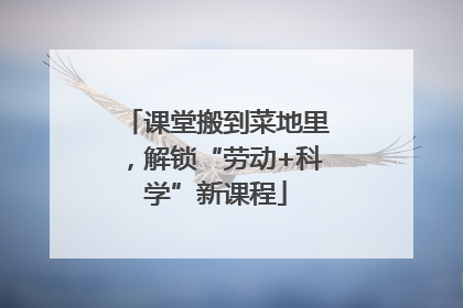 课堂搬到菜地里，解锁“劳动+科学”新课程